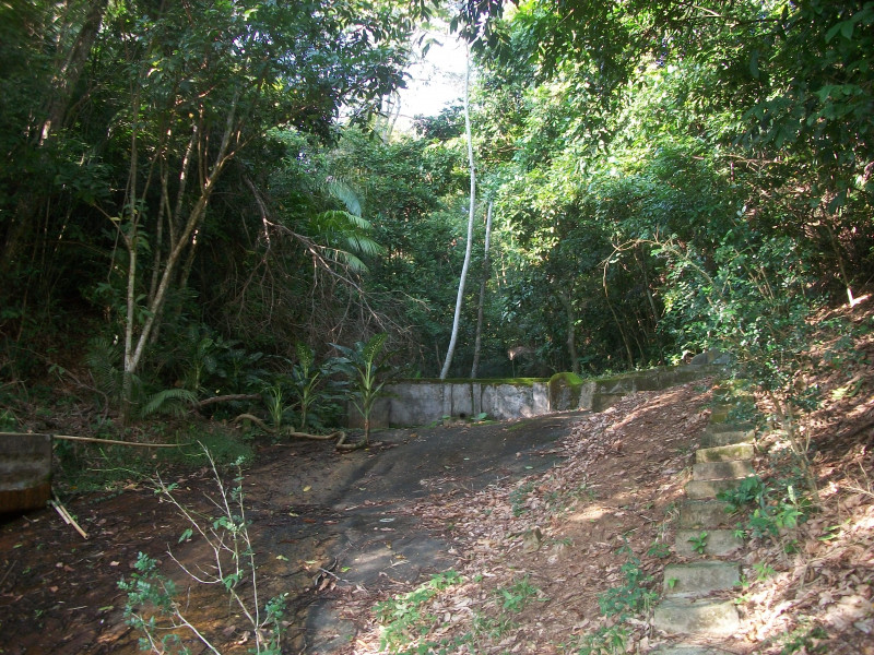 Sítio à venda São Bras com 27000m² e 3 quartos por R$ 4.500.000 - 1962648692-vista-mata-2.JPG