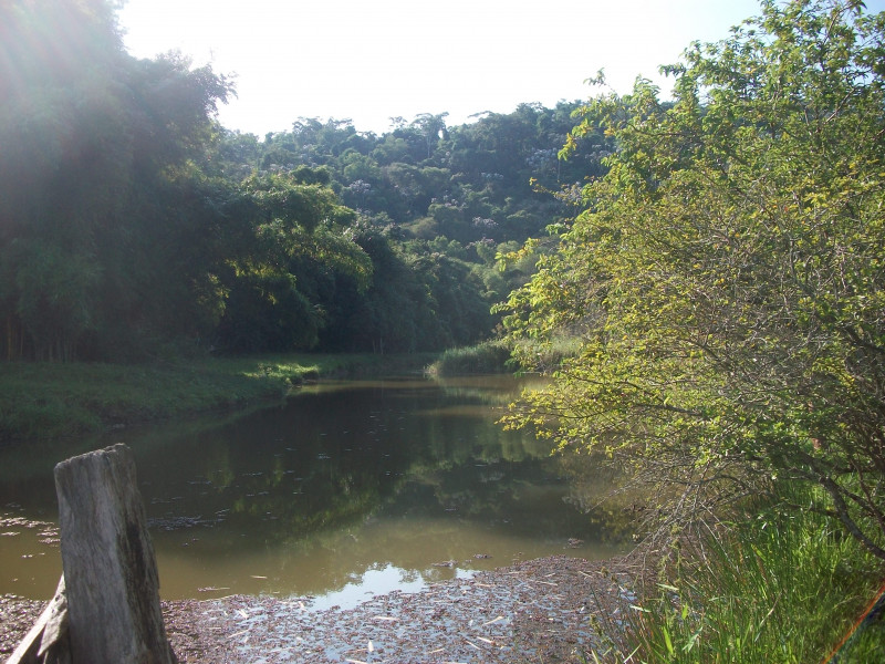 Sítio à venda São Bras com 27000m² e 3 quartos por R$ 4.500.000 - 2062432709-vista-lago-copia.JPG