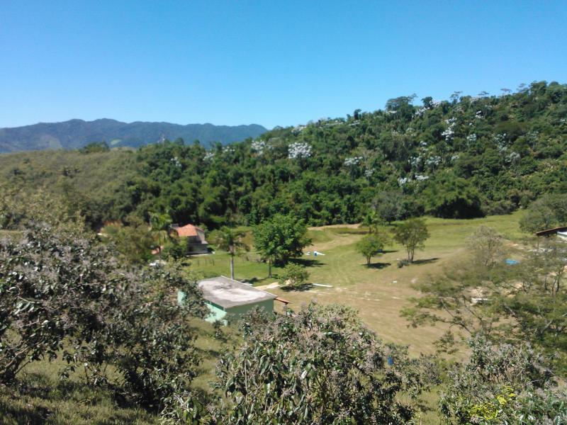 Sítio à venda São Bras com 27000m² e 3 quartos por R$ 4.500.000 - 597478926-foto3-vista-mata-do-marco-r13-copia.jpg