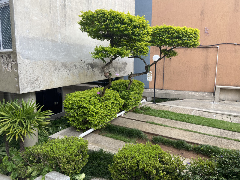 Apartamento à venda Jardim das Laranjeiras com 60m² e 2 quartos por R$ 430.000 - 281151206-733d5a51-6daa-483e-94cd-077c8701933a.jpeg