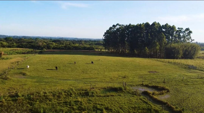 Chácara à venda Centro com 93000m² e 2 quartos por R$ 1.350.000 - 1284381171-aea22590-dffd-4172-8ff2-054dfa2118d7.jpeg