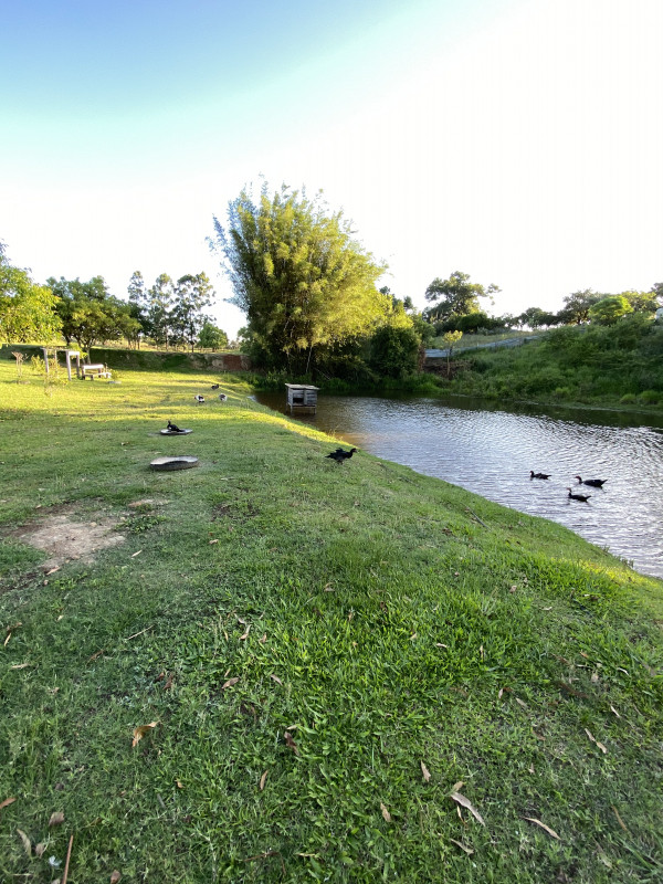 Chácara à venda Centro com 93000m² e 2 quartos por R$ 1.350.000 - 1666739167-be60390e-e5b4-4e2d-a9f0-d4804291bdf8.jpeg