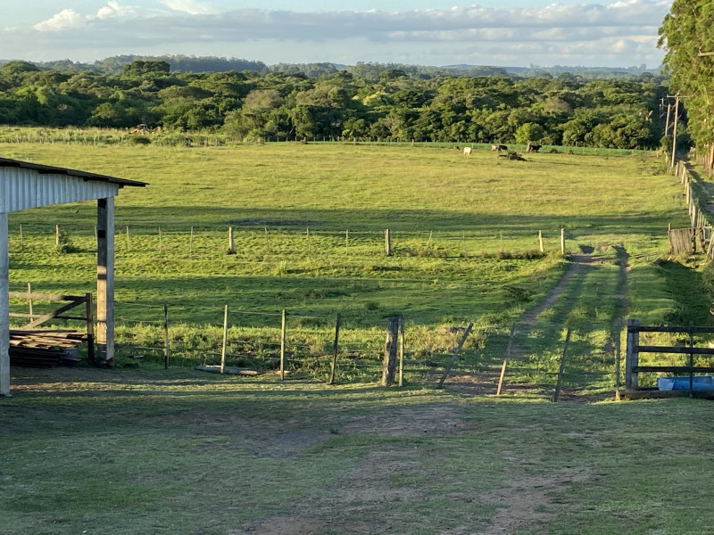 Chácara à venda Centro com 93000m² e 2 quartos por R$ 1.350.000 - 25174443-a74e3452-5763-4181-9f00-7cca7139a61f.jpeg