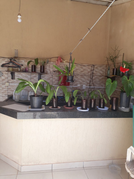 Casa à venda Setor de Mansões de Sobradinho com 308m² e 3 quartos por R$ 250.000 - 608430001-img-20220725-wa0074.jpg