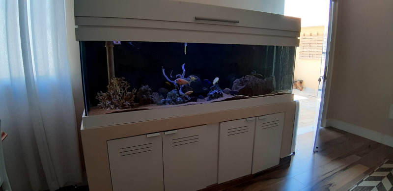 Chácara à venda Terras de Itaici com 271m² e 3 quartos por R$ 1.800.000 - 1292239225-img-20221108-wa0067.jpg