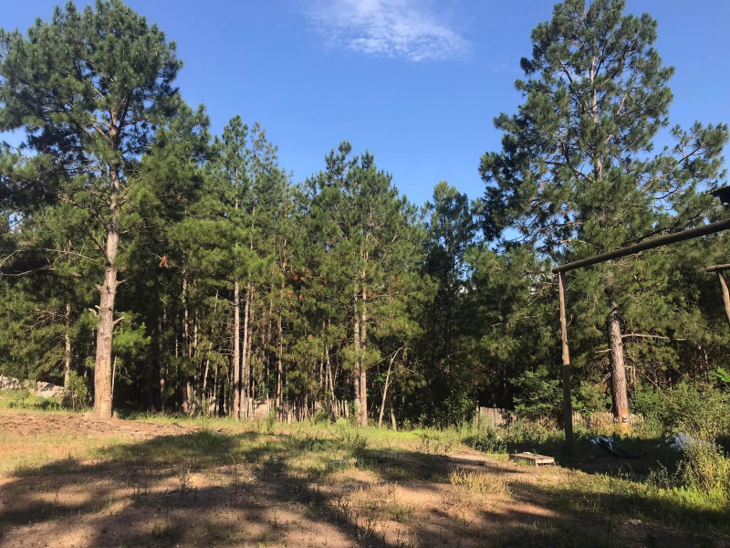 Terreno à venda Santa Albina com 125000m² e 1 quarto por R$ 950.000 - 1155743746-317793987-477724554514185-6527927418039451755-n.jpg