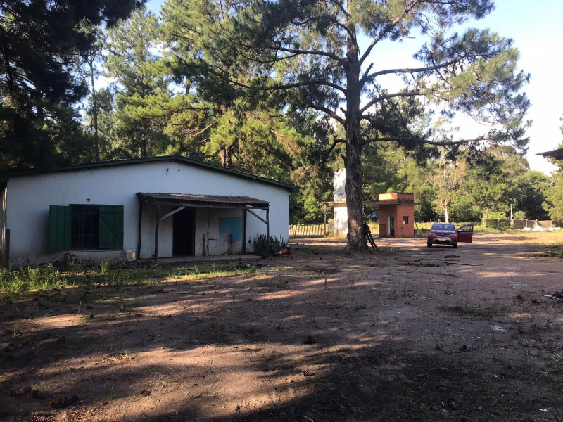 Terreno à venda Santa Albina com 125000m² e 1 quarto por R$ 950.000 - 1317897264-317797748-1154133171909366-676149568965200429-n.jpg