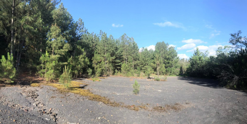 Terreno à venda Santa Albina com 125000m² e 1 quarto por R$ 950.000 - 1500785957-317196224-1279269645950517-6891256155259650987-n.jpg