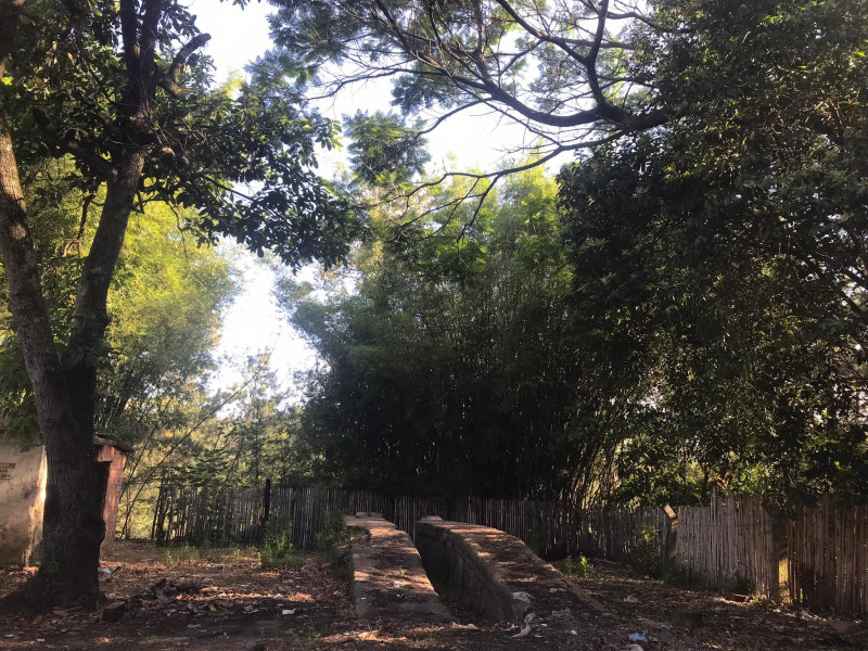 Terreno à venda Santa Albina com 125000m² e 1 quarto por R$ 950.000 - 1540988409-318352015-708163610522636-2544474705195780331-n.jpg