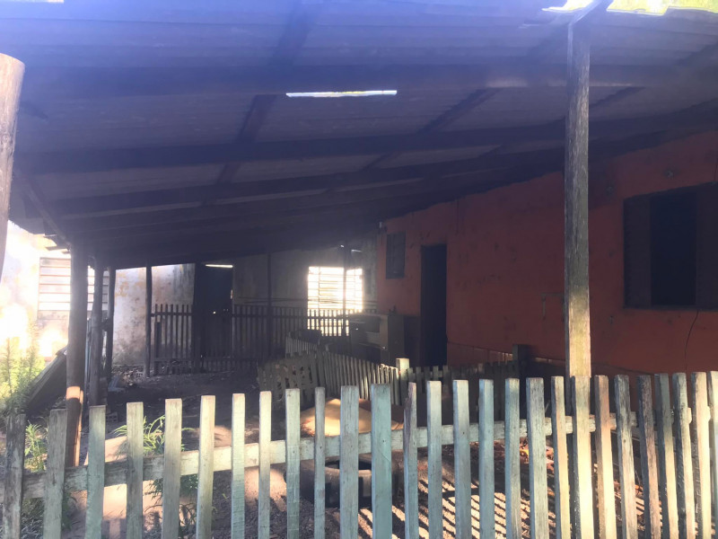 Terreno à venda Santa Albina com 125000m² e 1 quarto por R$ 950.000 - 173527271-317260688-2412138495602896-2349979615923057808-n.jpg