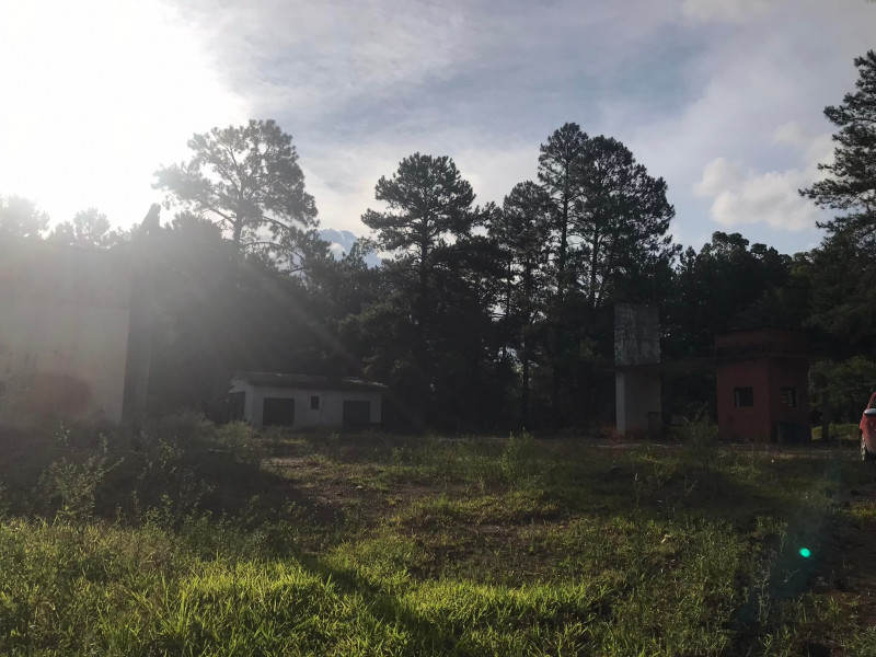 Terreno à venda Santa Albina com 125000m² e 1 quarto por R$ 950.000 - 1829824110-317724399-1119514115364355-4647142949393278641-n.jpg