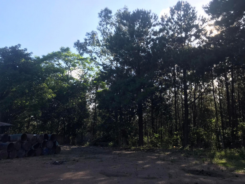 Terreno à venda Santa Albina com 125000m² e 1 quarto por R$ 950.000 - 2008828407-317453742-3298847030337050-6179461425657622189-n.jpg