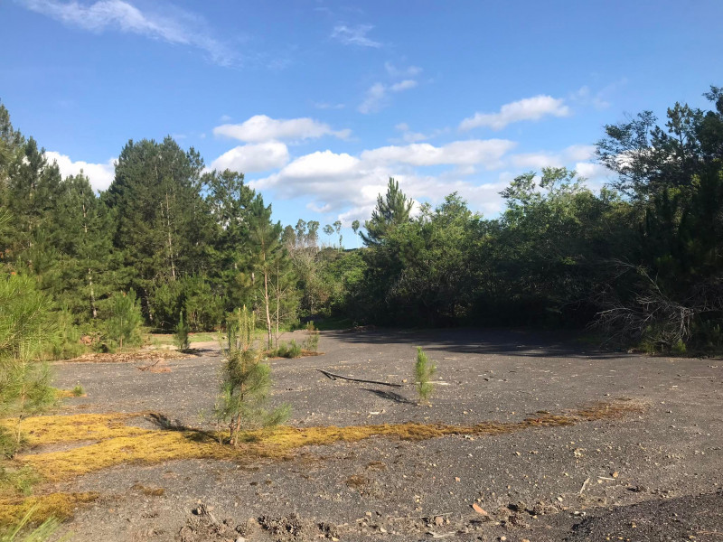 Terreno à venda Santa Albina com 125000m² e 1 quarto por R$ 950.000 - 584716235-317355216-1109980603048318-5556194375132373167-n.jpg