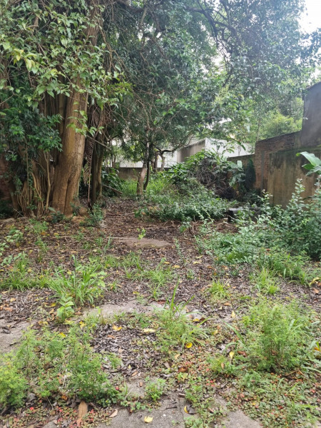 Casa à venda Vila da Saúde com 175m² e 3 quartos por R$ 1.500.000 - 141215042-whatsapp-image-2022-12-26-at-00.jpeg