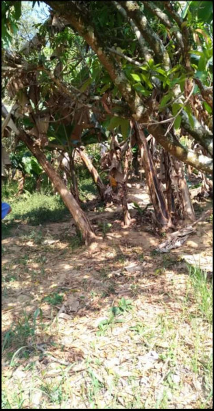 Terreno à venda Estância Lago Azul com 700m² e 1 quarto por R$ 250.000 - 599245518-screenshot-2023-05-08-15-15-23-027-com.jpg