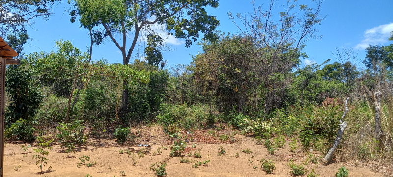 Terreno à venda Santa Candida com 6050m² e 1 quarto por R$ 50.000 - 1092464004-20220915-114705.jpg