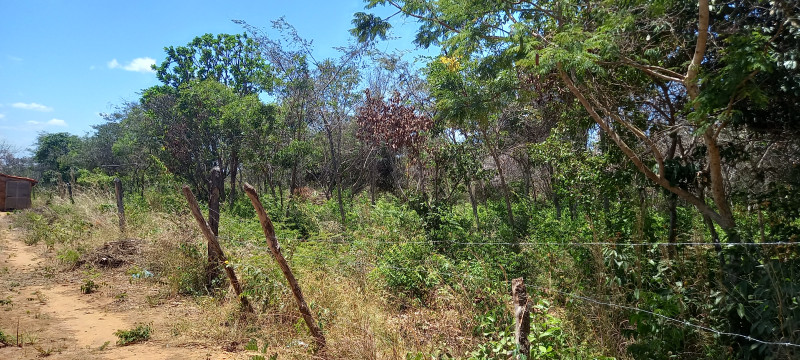 Terreno à venda Santa Candida com 6050m² e 1 quarto por R$ 50.000 - 1170754928-20220915-114619.jpg