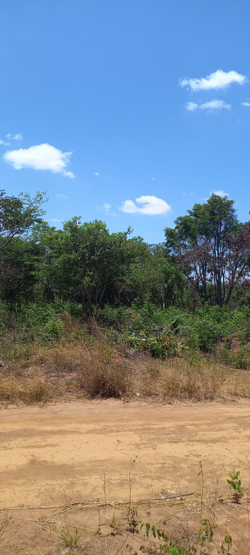 Terreno à venda Santa Candida com 6050m² e 1 quarto por R$ 50.000 - 1239221989-20220915-114359.jpg