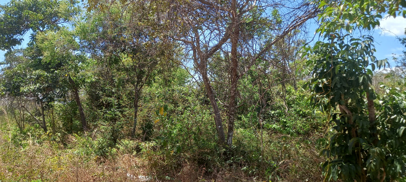 Terreno à venda Santa Candida com 6050m² e 1 quarto por R$ 50.000 - 1335193308-20220915-114722.jpg