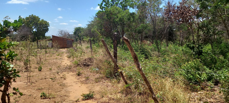Terreno à venda Santa Candida com 6050m² e 1 quarto por R$ 50.000 - 1680081631-20220915-114621.jpg