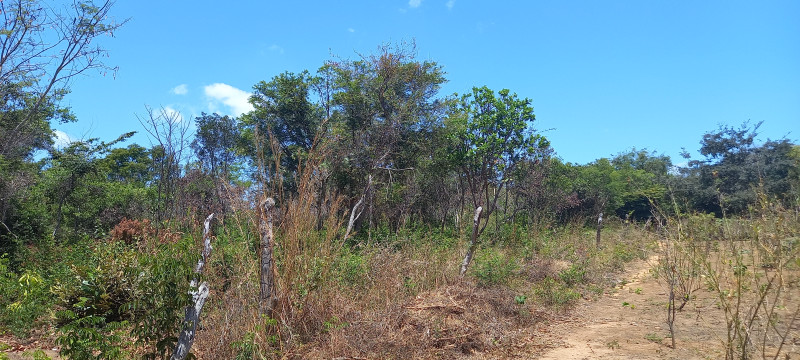 Terreno à venda Santa Candida com 6050m² e 1 quarto por R$ 50.000 - 2018791919-20220915-114738.jpg