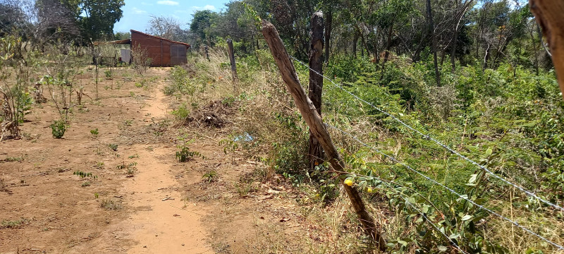 Terreno à venda Santa Candida com 6050m² e 1 quarto por R$ 50.000 - 2098157085-20220915-114623.jpg