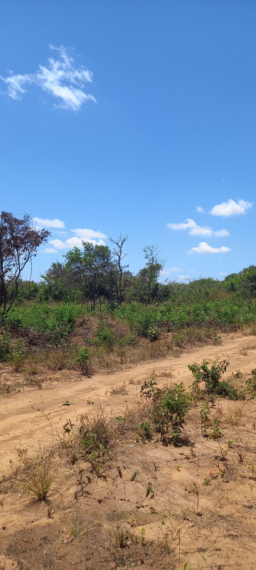Terreno à venda Santa Candida com 6050m² e 1 quarto por R$ 50.000 - 327590307-20220915-114401.jpg
