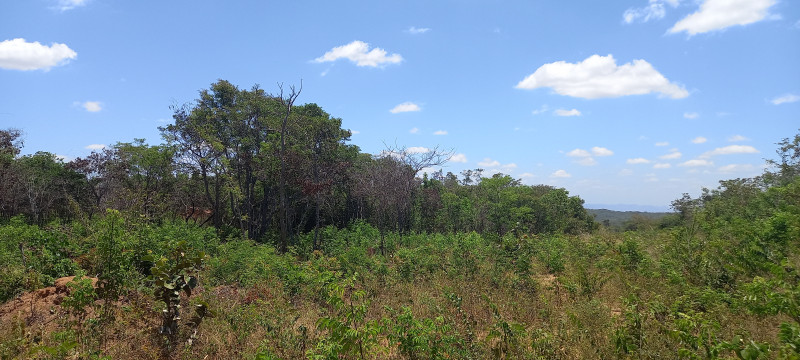 Terreno à venda Santa Candida com 6050m² e 1 quarto por R$ 50.000 - 582956626-20220915-114441.jpg