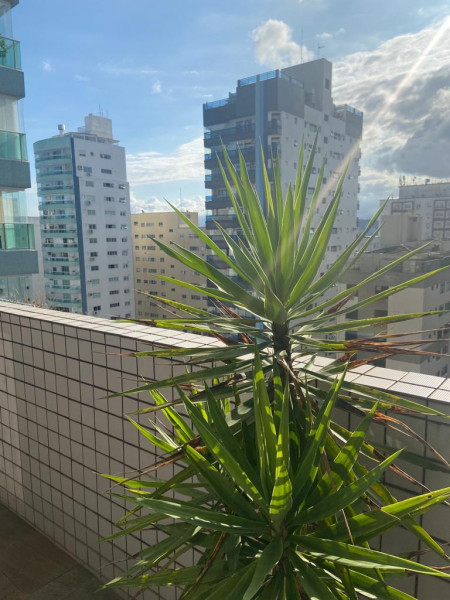 Apartamento à venda Vila Mariana com 133m² e 2 quartos por R$ 1.100.000 - 562817351-img-20221227-wa0033.jpg