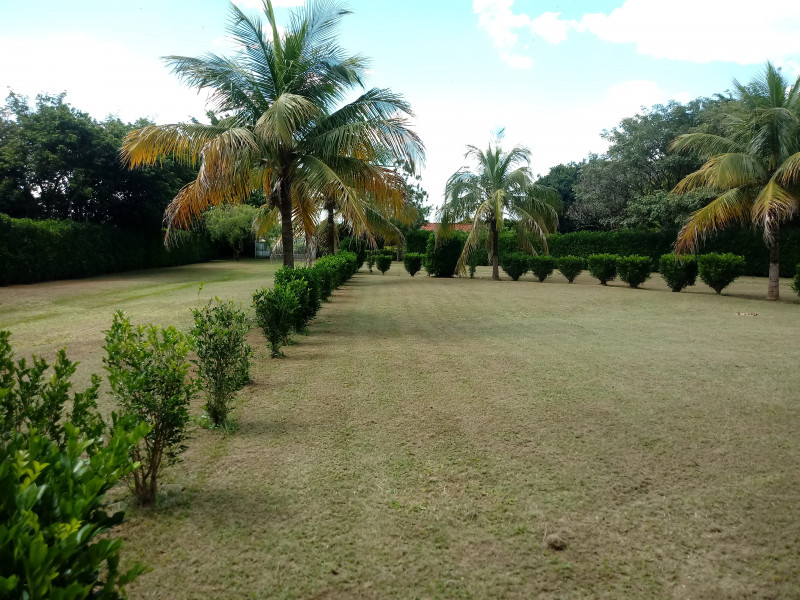 Chácara à venda Parque Planalto com 21370m² e 3 quartos por R$ 5.500.000 - 140117199-20210409-134456.jpg