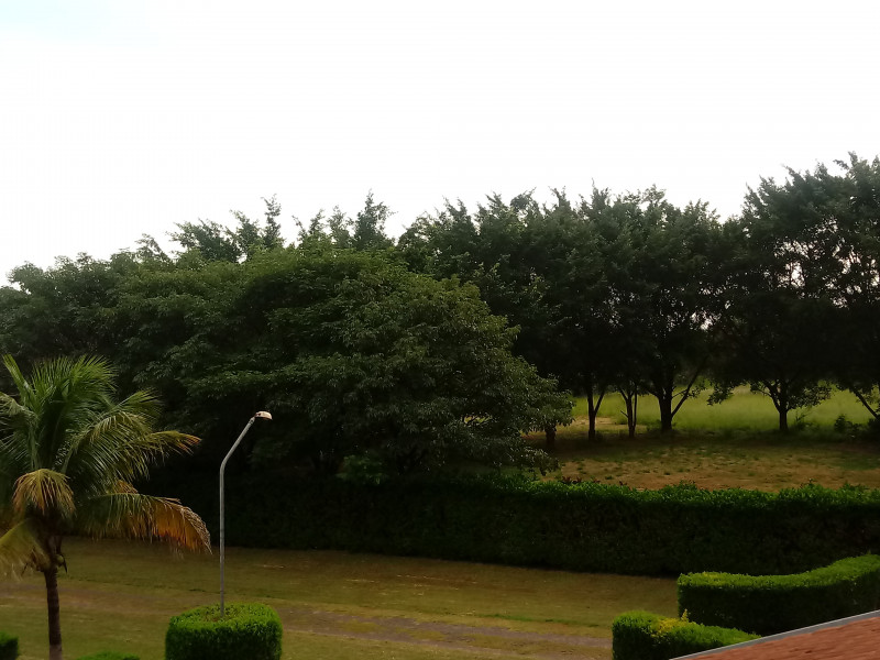 Chácara à venda Parque Planalto com 21370m² e 3 quartos por R$ 5.500.000 - 381167706-20210125-082027.jpg