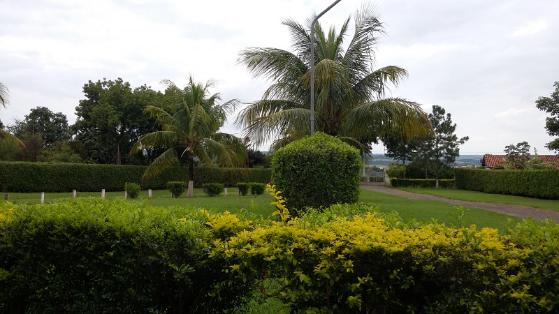 Chácara à venda Parque Planalto com 21370m² e 3 quartos por R$ 5.500.000 - 4114385-20171031-153758.jpg