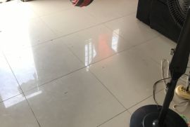 1925156956-image.jpg