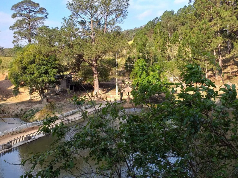 Sítio à venda Centro com 80000000m² e 4 quartos por R$ 1.500.000 - 1946143238-img-20190825-wa0161.jpg