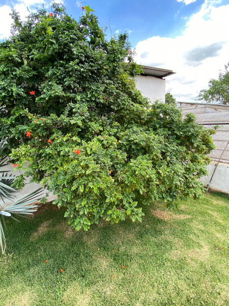 Chácara à venda Lot. Parque das Arvores com 1500m² e 3 quartos por R$ 1.200.000 - 1592976109-img-20230104-wa0015.jpg