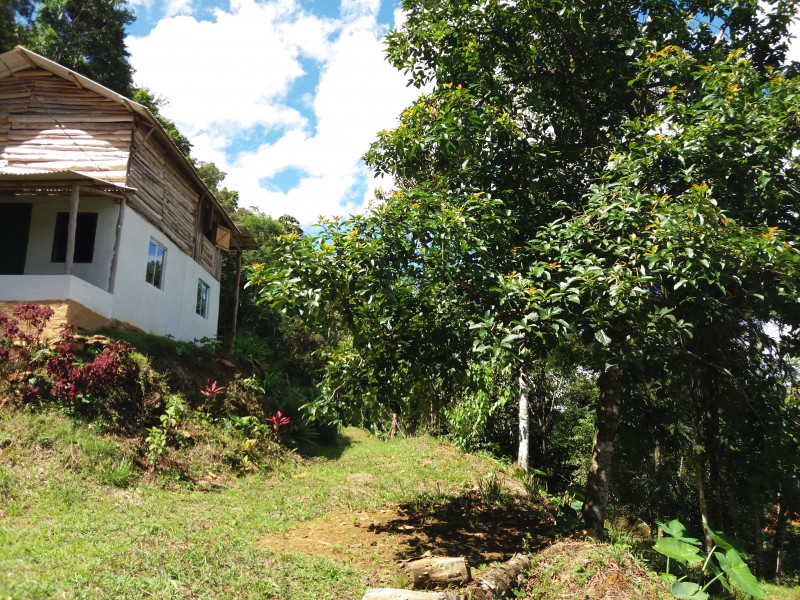 Chácara à venda Centro com 3000m² e 1 quarto por R$ 130.000 - 372169117-20200209-142258.jpg