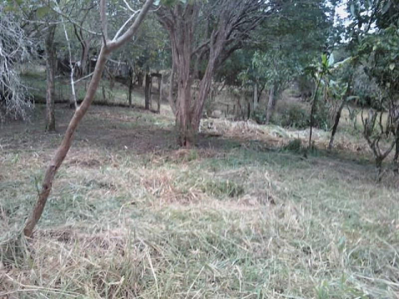 Chácara à venda Jardim São Leopoldo com 7640m² e 2 quartos por R$ 899.000 - 1948031475-chacara-rodrigo-8.jpg