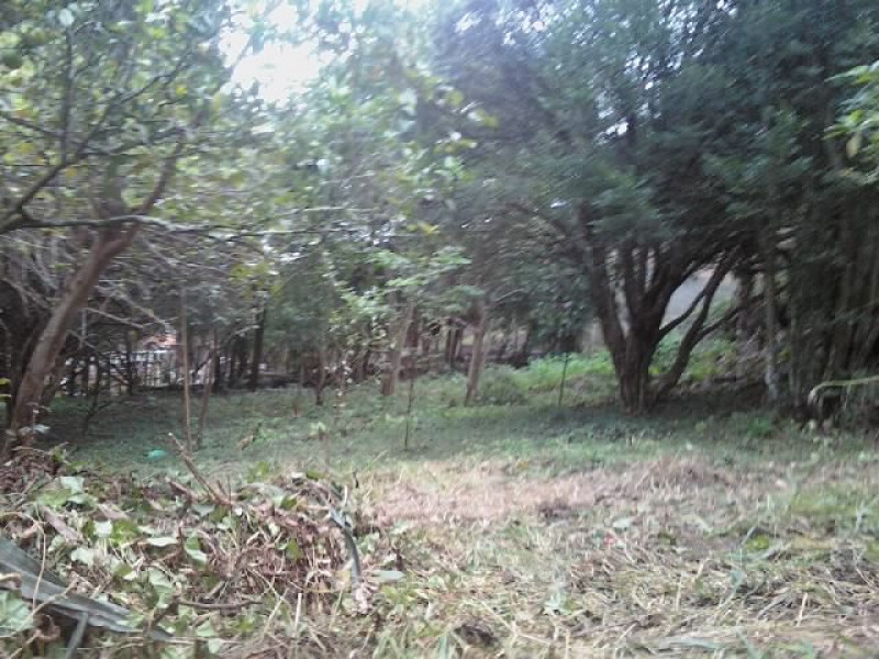 Chácara à venda Jardim São Leopoldo com 7640m² e 2 quartos por R$ 899.000 - 920716404-chacara-rodrigo-5.jpg