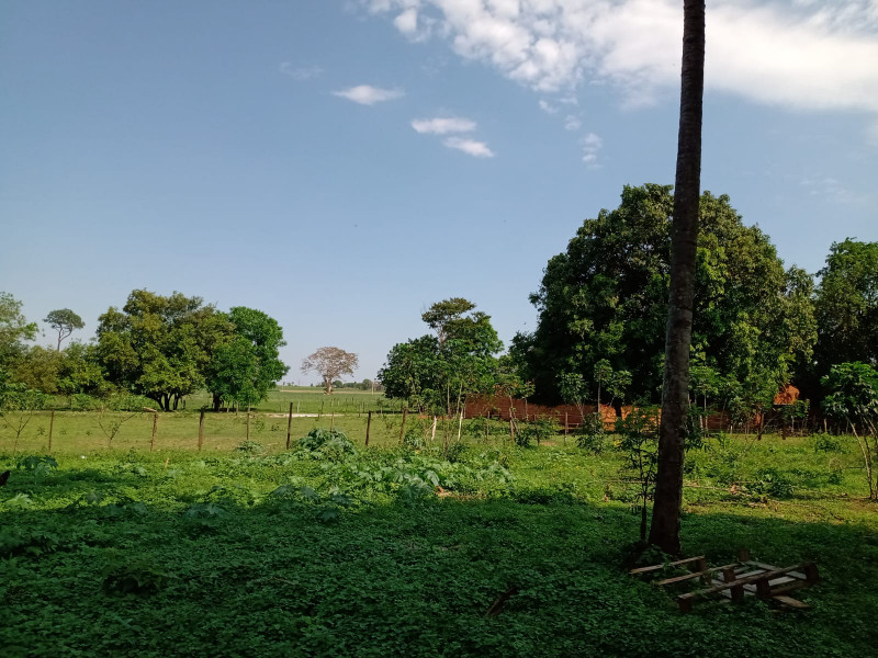 Terreno à venda Centro com 5200m² e 1 quarto por R$ 400.000 - 1481146218-img-20230105-wa0067.jpg