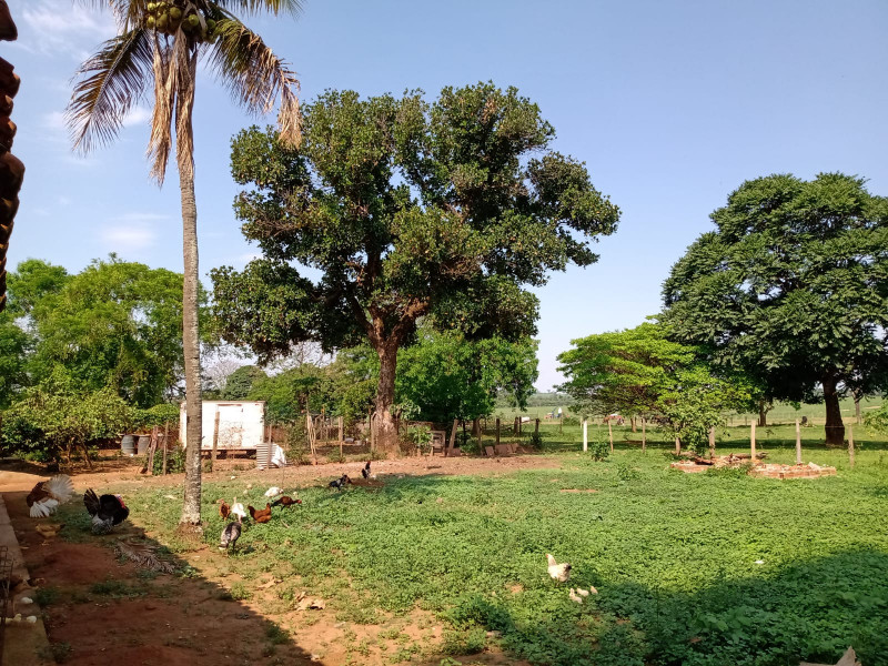 Terreno à venda Centro com 5200m² e 1 quarto por R$ 400.000 - 302142197-img-20230105-wa0066.jpg
