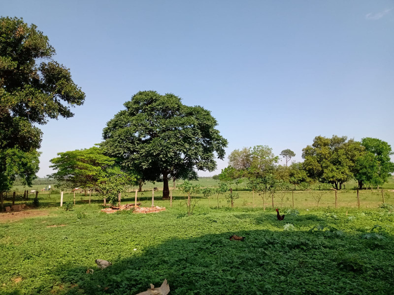 Terreno à venda Centro com 5200m² e 1 quarto por R$ 400.000 - 867047177-img-20230105-wa0072.jpg