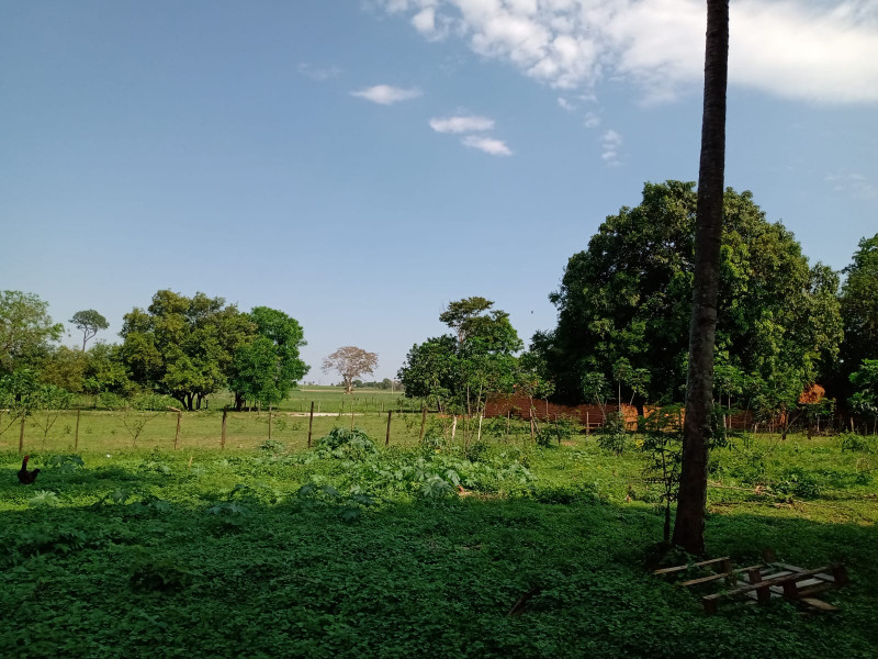 Terreno à venda Centro com 5200m² e 1 quarto por R$ 400.000 - 948729967-img-20230105-wa0071.jpg