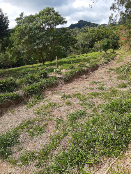 Sítio à venda Fazenda do Campo com 3000m² e 1 quarto por R$ 80.000 - 1040467946-terreno-no-sitio-retiro-3.jpeg
