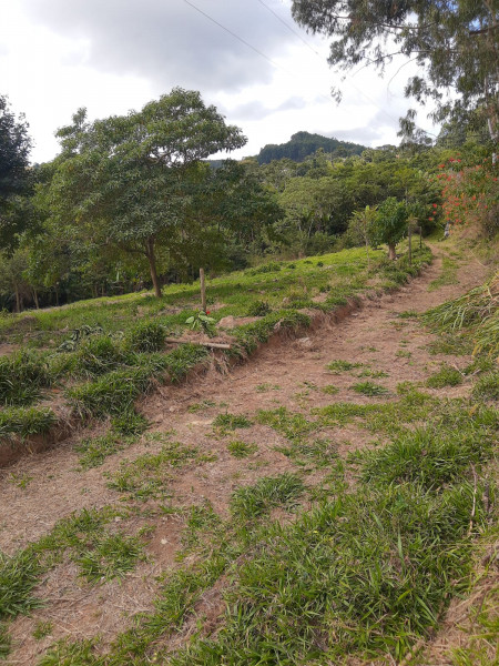Sítio à venda Fazenda do Campo com 3000m² e 1 quarto por R$ 80.000 - 1387364673-terreno-sitio-retiro-5.jpeg
