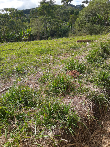 Sítio à venda Fazenda do Campo com 3000m² e 1 quarto por R$ 80.000 - 247141618-terreno-no-sitio-retiro.jpeg