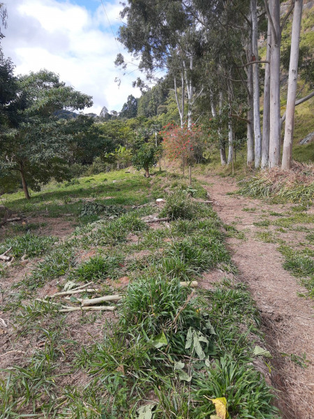 Sítio à venda Fazenda do Campo com 3000m² e 1 quarto por R$ 80.000 - 570845435-terreno-sitio-retiro-6.jpeg