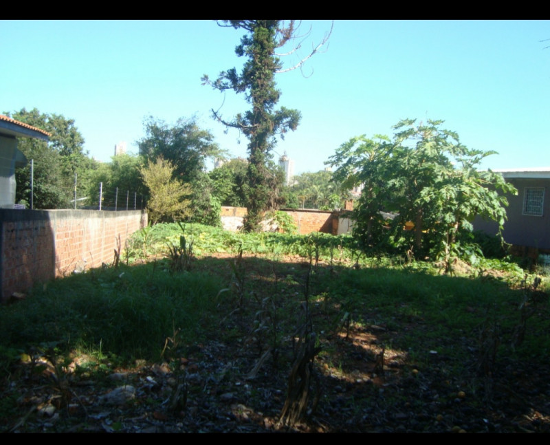 Terreno para alugar Vila Yolanda com 520m² e 1 quarto por R$ 1.500 - 996034981-20230107-032856.jpg
