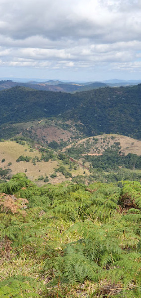 Fazenda à venda Centro com 500m² e 3 quartos por R$ 6.000.000 - 1185086510-fazenda5.jpg