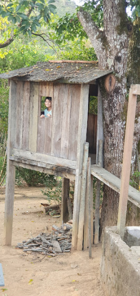 Fazenda à venda Centro com 500m² e 3 quartos por R$ 6.000.000 - 185127578-fazenda1.jpg