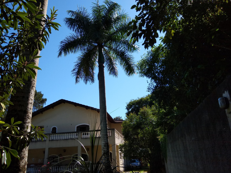 Chácara à venda Caceia  com 320m² e 4 quartos por R$ 850.000 - fundos-1.jpg